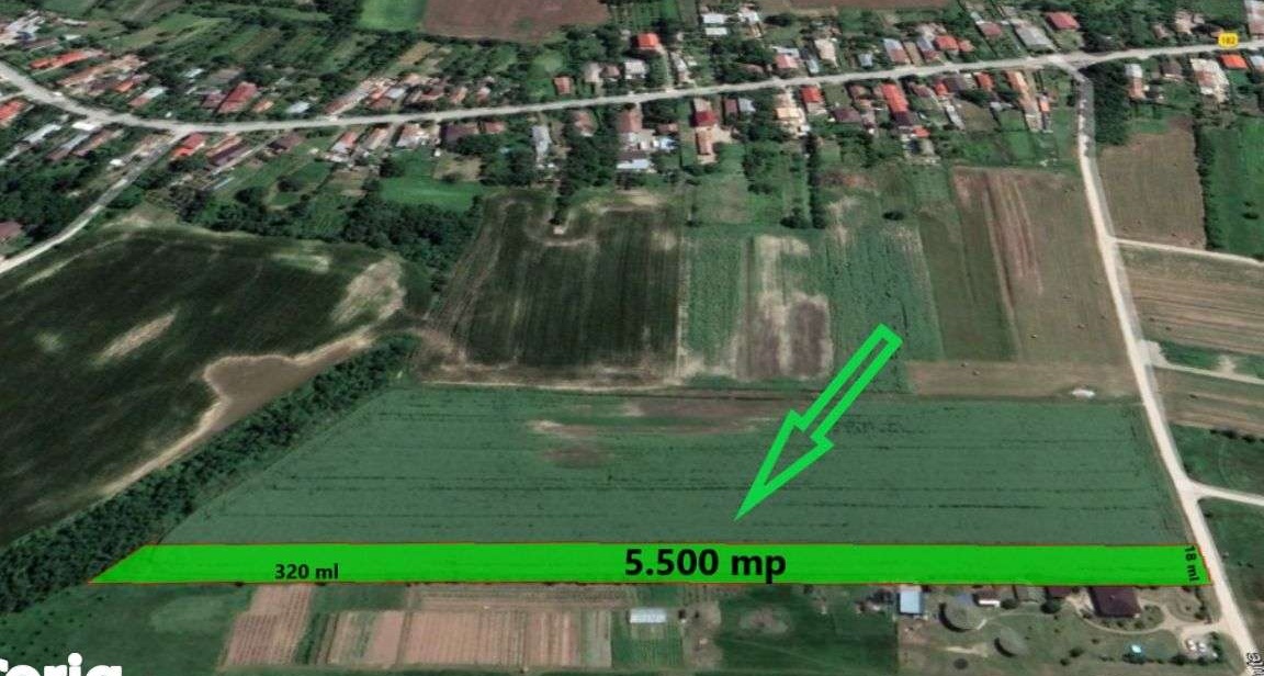 Teren intravilan 5500 mp Ciolpani