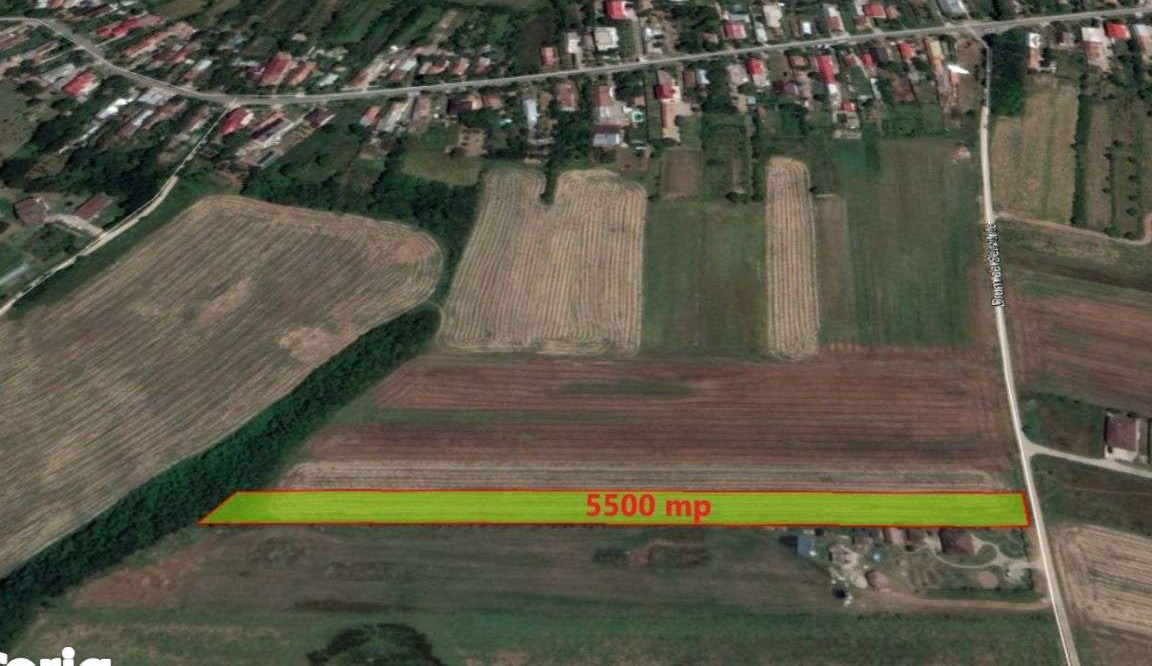 Teren intravilan 5500 mp Ciolpani