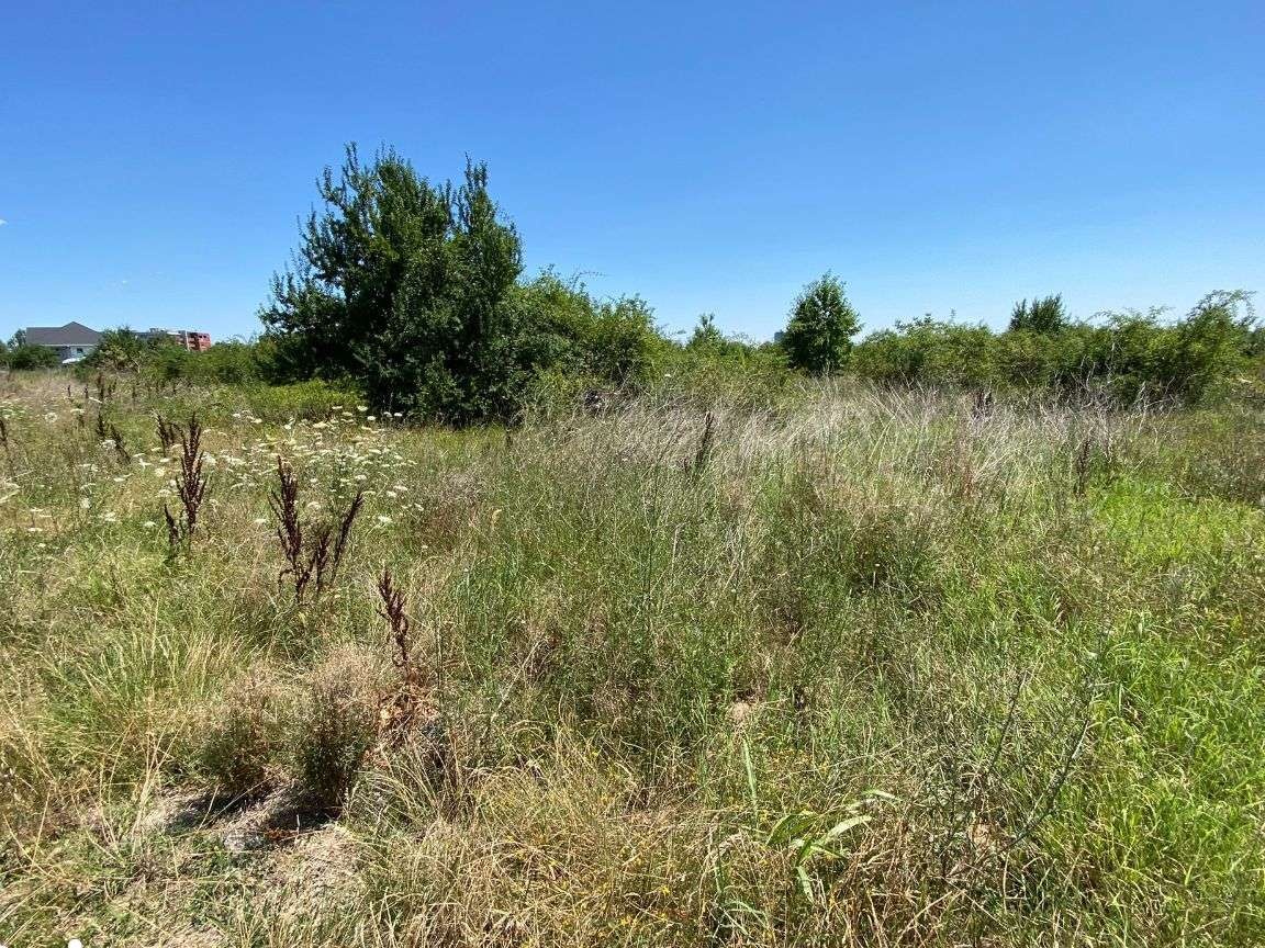 Teren intravilan 6600 mp Buftea Mogosoaia