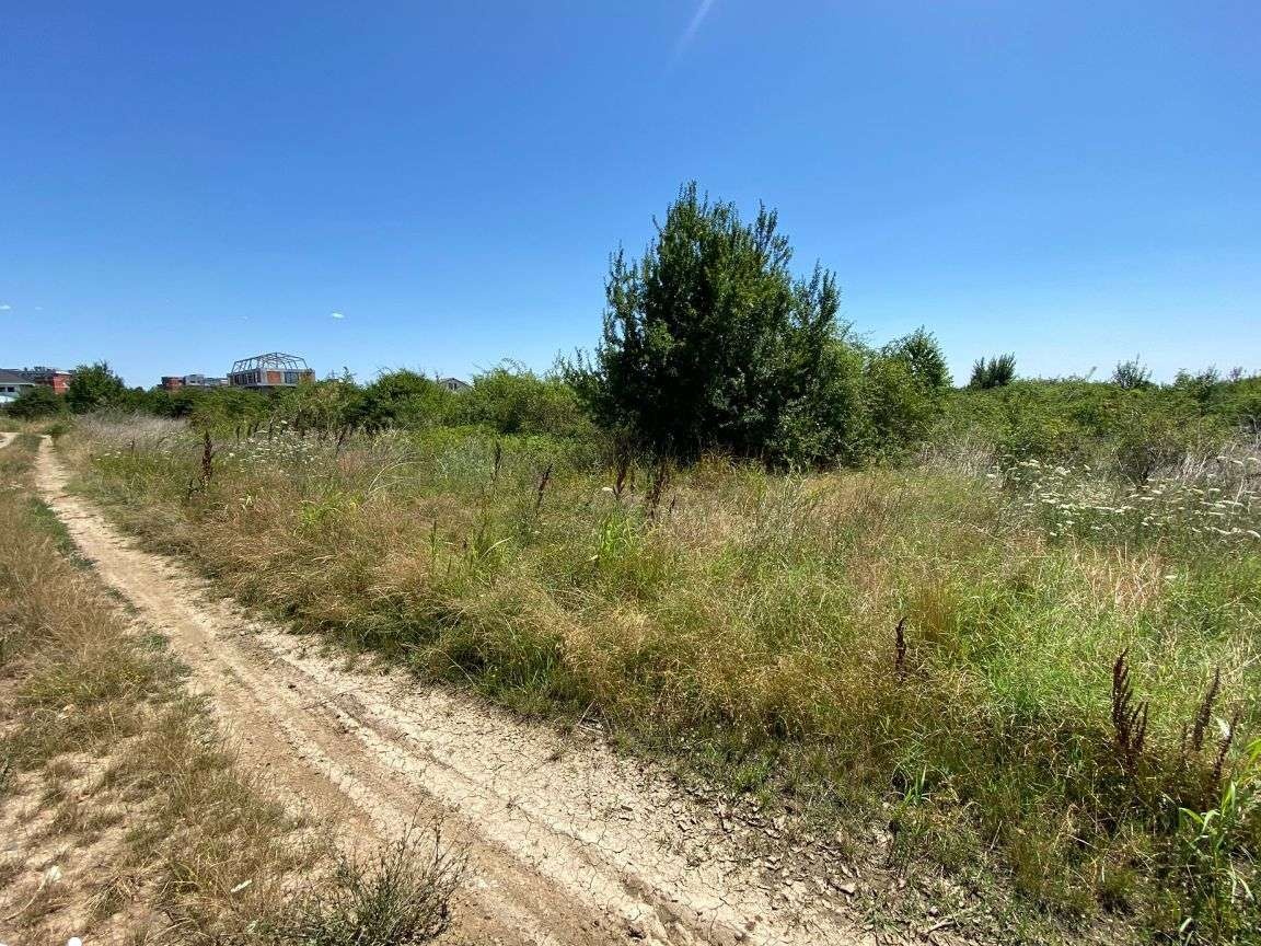 Teren intravilan 6600 mp Buftea Mogosoaia