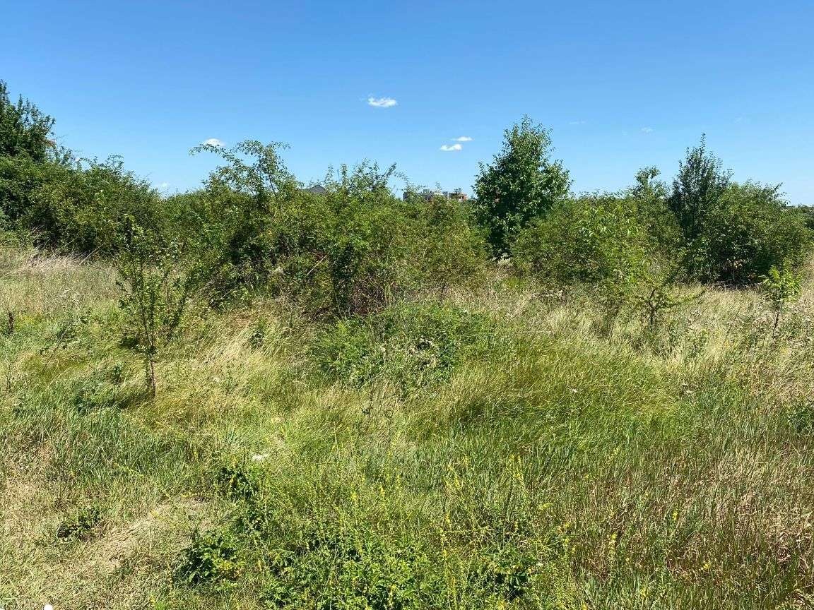 Teren intravilan 6600 mp Buftea Mogosoaia