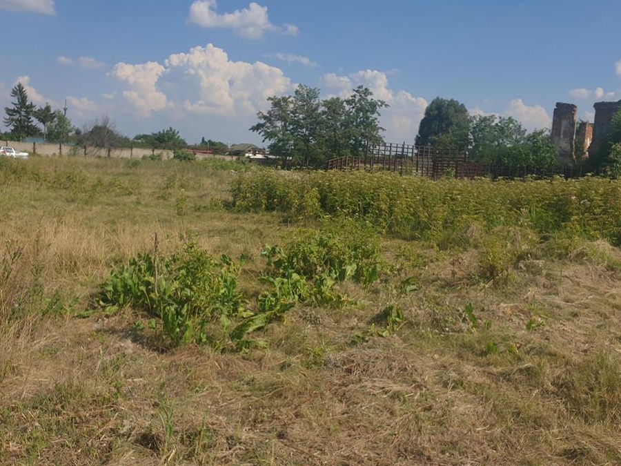 Teren intravilan 670m2 Cosoveni