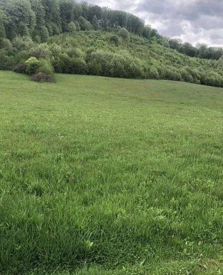 Teren intravilan Betfia 5000 mp