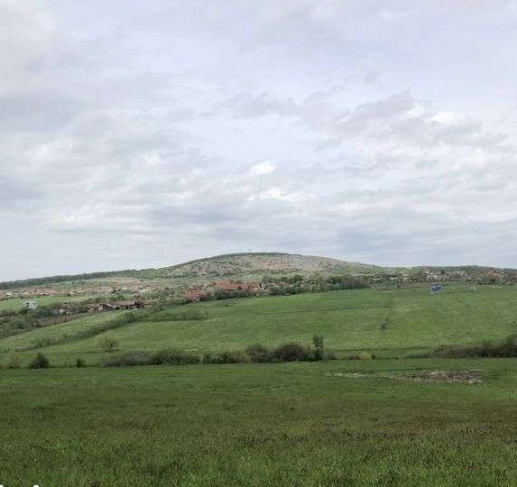 Teren intravilan Betfia 5000 mp
