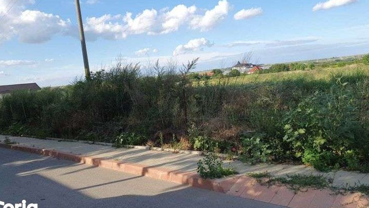 Teren intravilan Botoșani