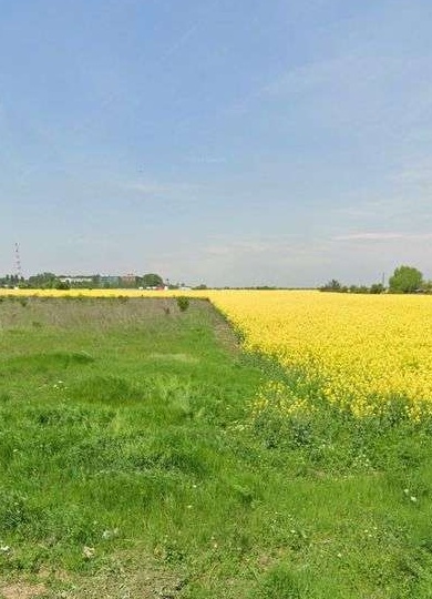Teren intravilan Buda Cornetu