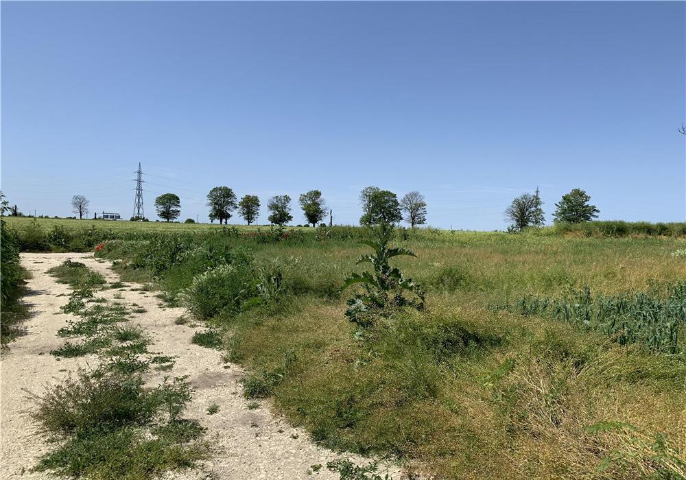 Teren Intravilan Ciocarlia de sus