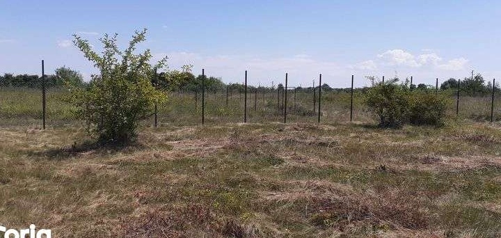 Teren intravilan Clinceni, Ordoreanu