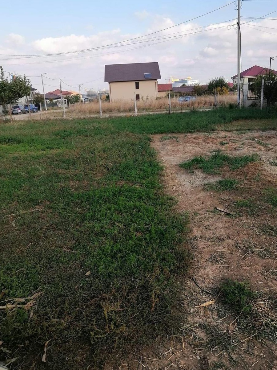 teren intravilan com limanu