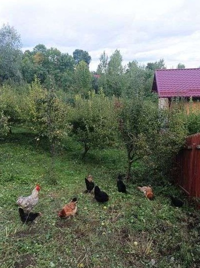 Teren intravilan Comarnic - Ghioșești