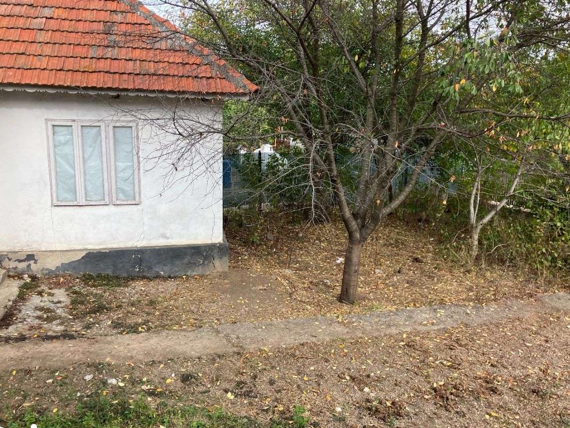 Teren intravilan Comuna Gheraseni Judetul Buzau 7339mp