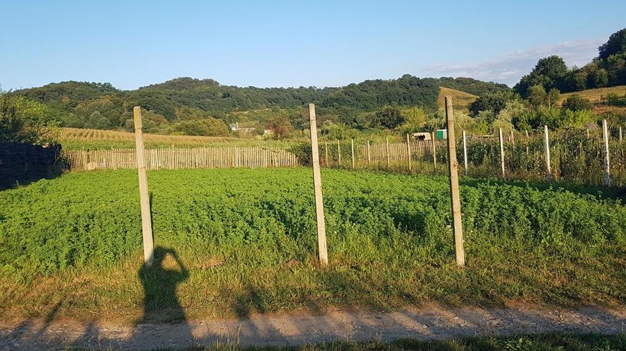 Teren intravilan constructii de vanzare zona Helesteu Medias-Sibiu