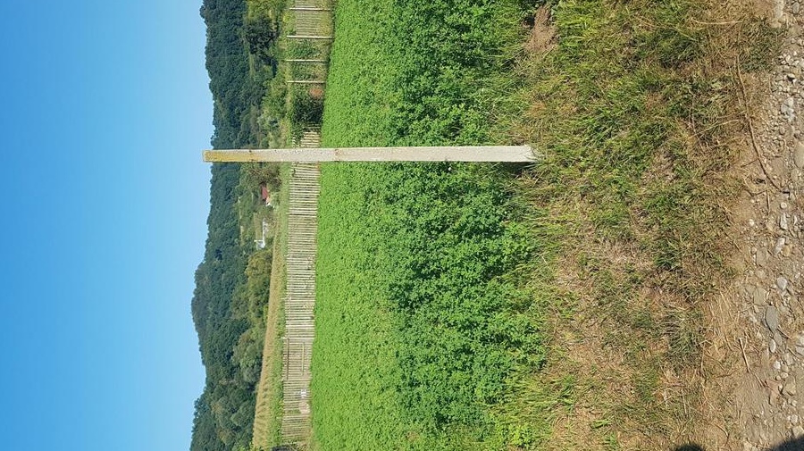 Teren intravilan constructii de vanzare zona Helesteu Medias-Sibiu