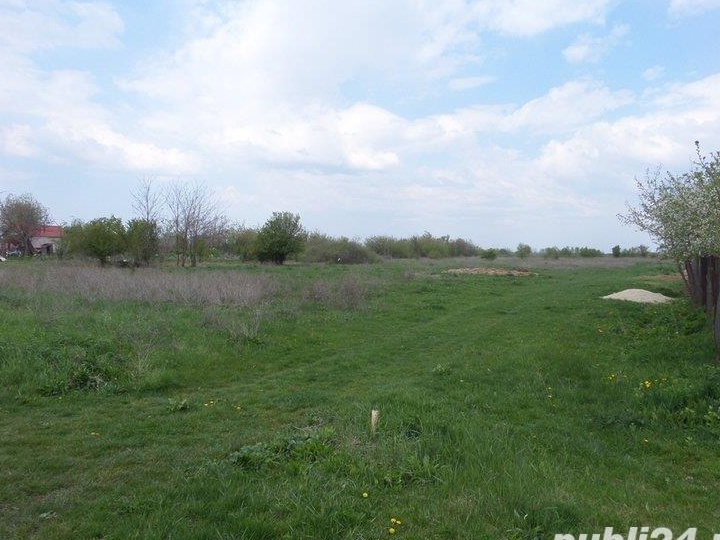 Teren Intravilan Construibil de Vanzare Tartasesti jud. Dambovita 2441 mp la 15 min de Bucuresti