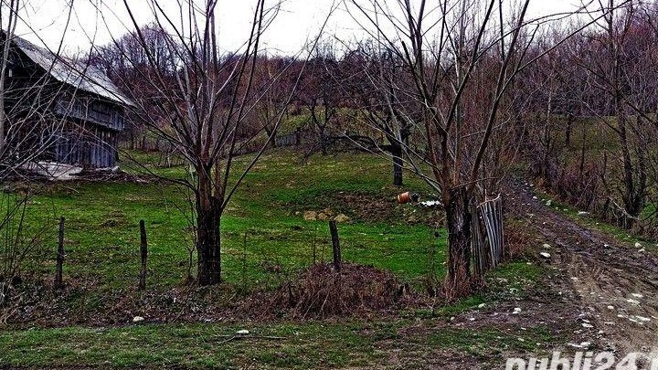 Teren intravilan construibil in comuna Nucsoara, sat Slatina, judetul Arges