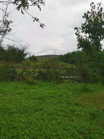 Teren intravilan Craesti