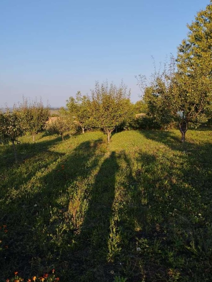 Teren intravilan - cu Cabana si loc pentru 2 case