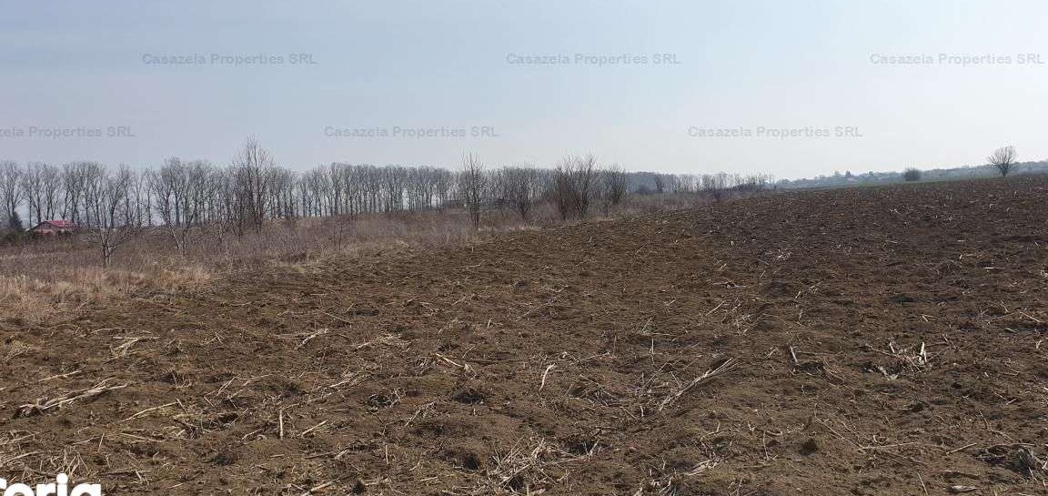 Teren intravilan - curti constructii, Silistea Snagov, Gruiu - 734 mp