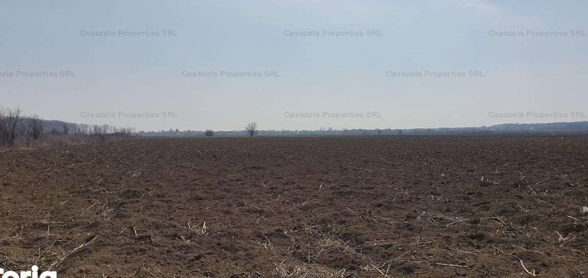 Teren intravilan - curti constructii, Silistea Snagov, Gruiu - 734 mp