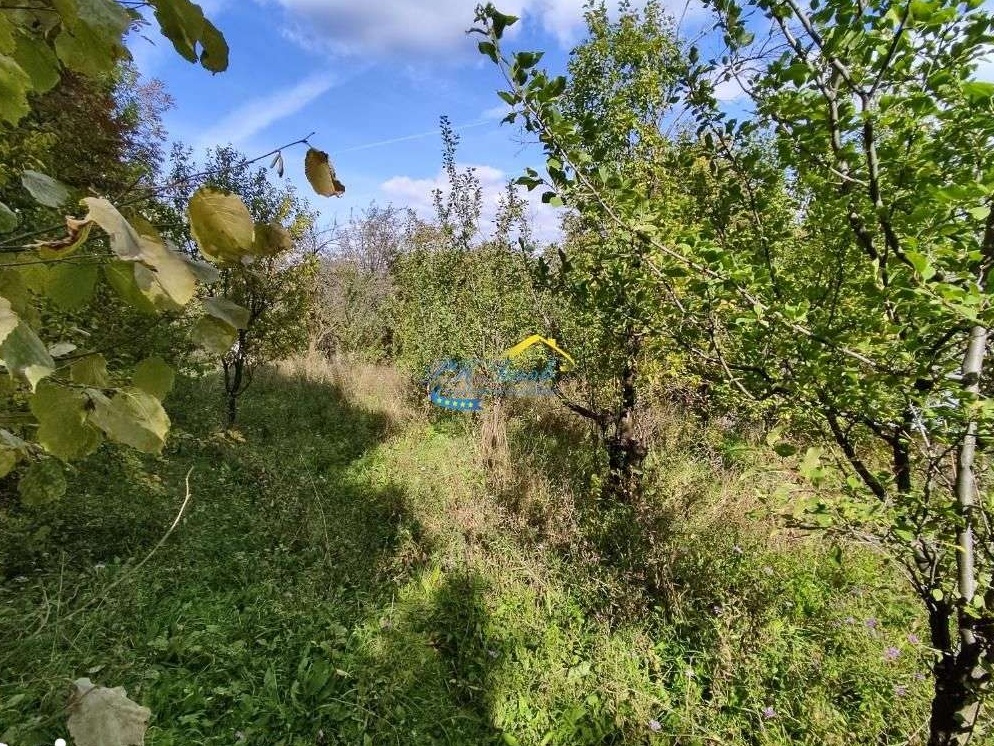 Teren Intravilan de Vanzare, Breaza