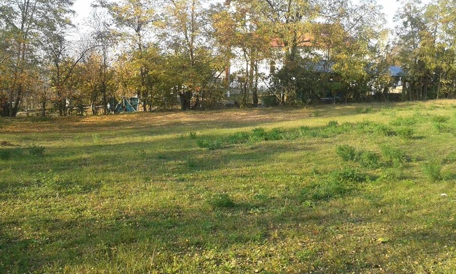 TEREN INTRAVILAN DE VANZARE IN PICIORU LUPULUI COMUNA CIUREA JUD.IASI
