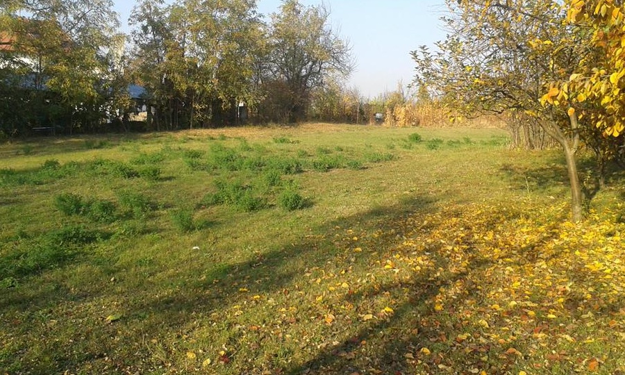 TEREN INTRAVILAN DE VANZARE IN PICIORU LUPULUI COMUNA CIUREA JUD.IASI
