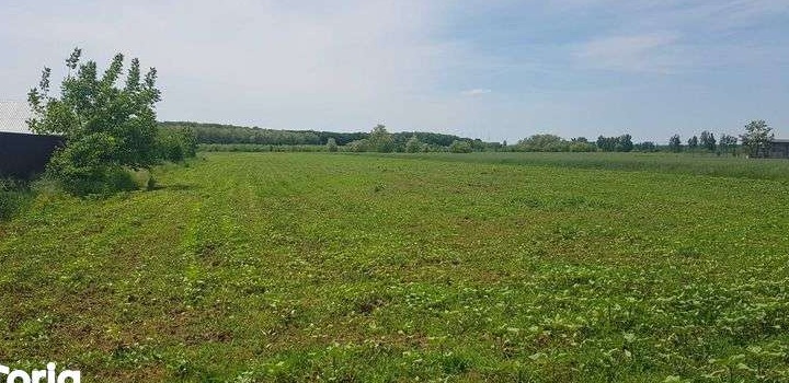 Teren intravilan de vanzare la strada asfaltata. 5000mp. Investitie