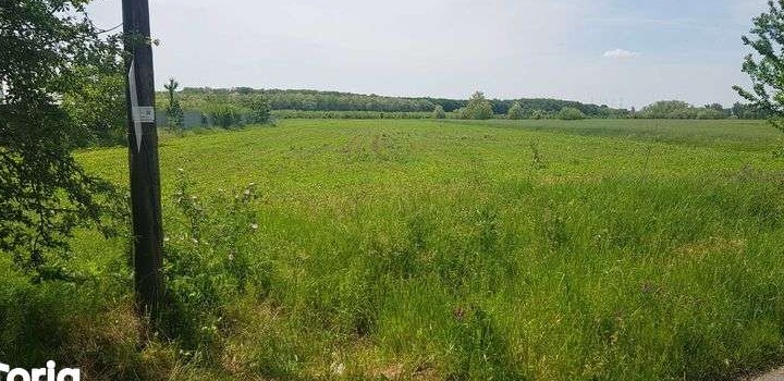Teren intravilan de vanzare la strada asfaltata. 5000mp. Investitie