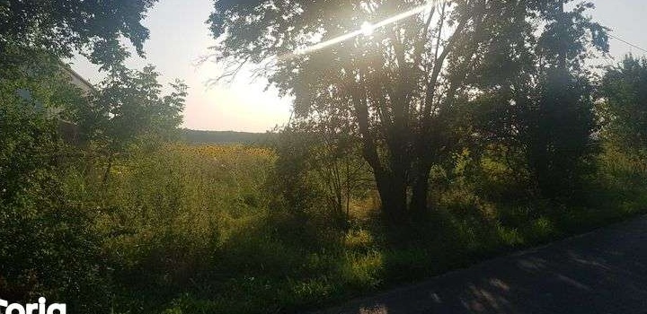Teren intravilan de vanzare la strada asfaltata. 5000mp. Investitie