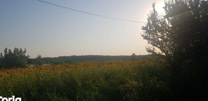 Teren intravilan de vanzare la strada asfaltata. 5000mp. Investitie