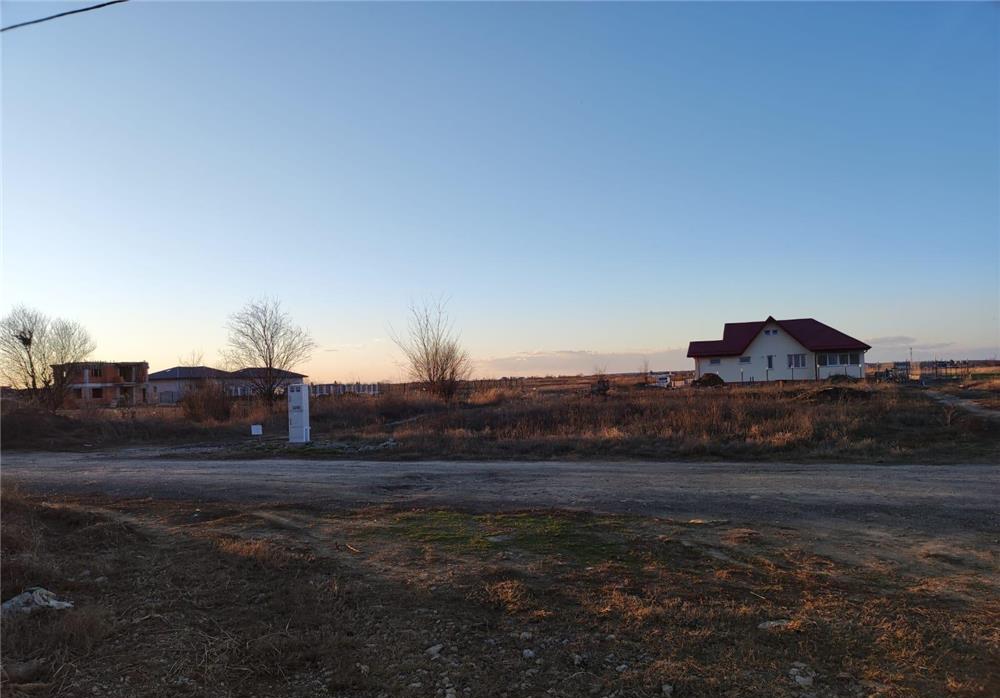 Teren intravilan, Domnesti -Ilfov