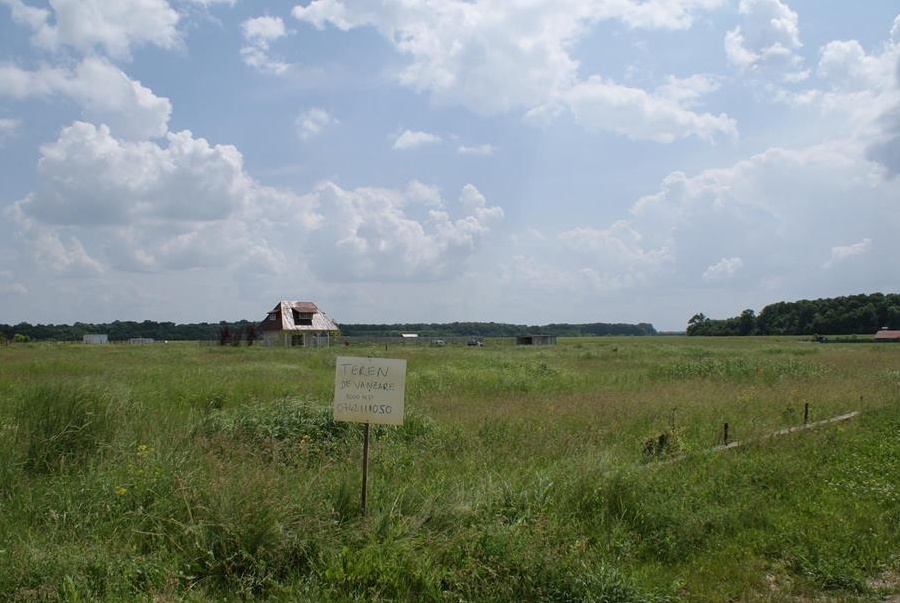 teren intravilan domnesti teghes