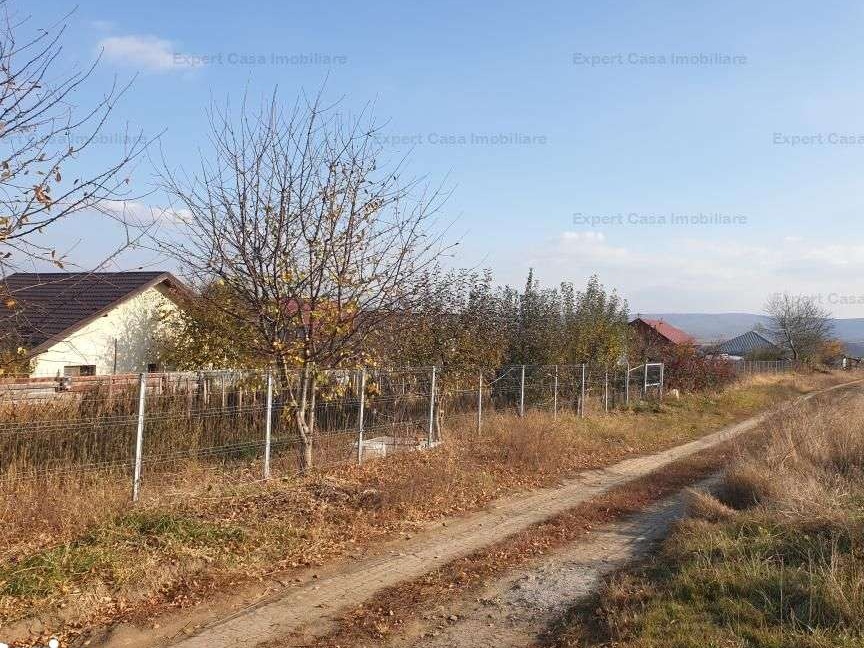 Teren intravilan Horpaz