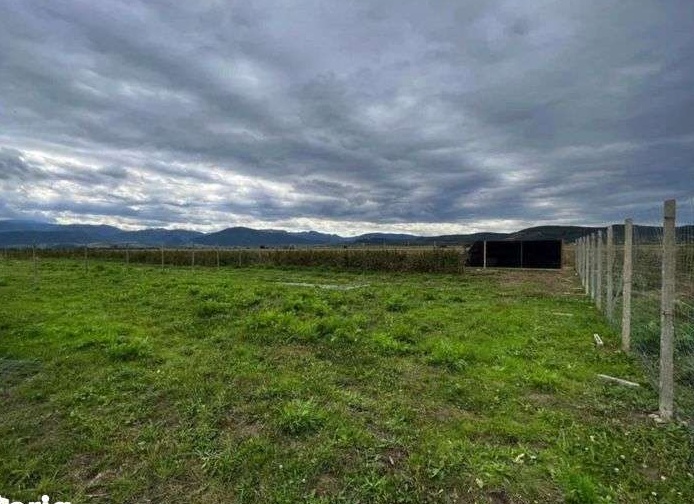 Teren intravilan imprejmuit de vanzare in Cristian - Sibiu