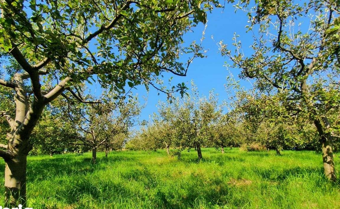 Teren intravilan in Falticeni, 8518 mp, str. sublocotenent Grigoras