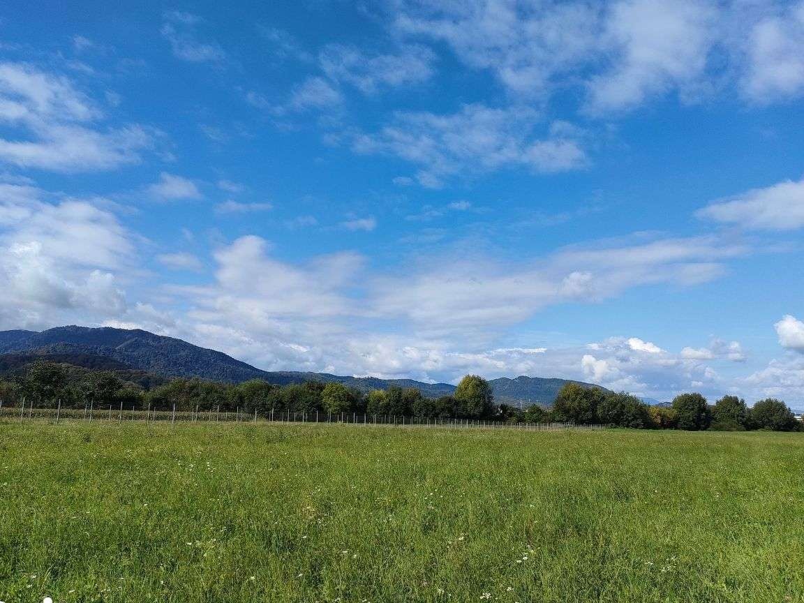 Teren intravilan in orasul Sacele cu vedere de vis exact langa Brasov