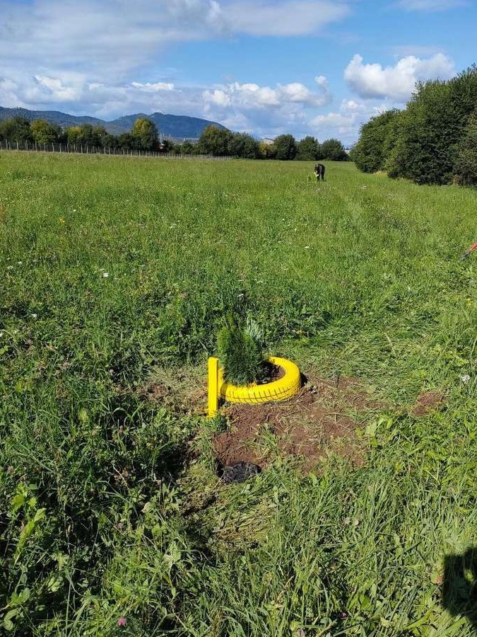 Teren intravilan in orasul Sacele cu vedere de vis exact langa Brasov
