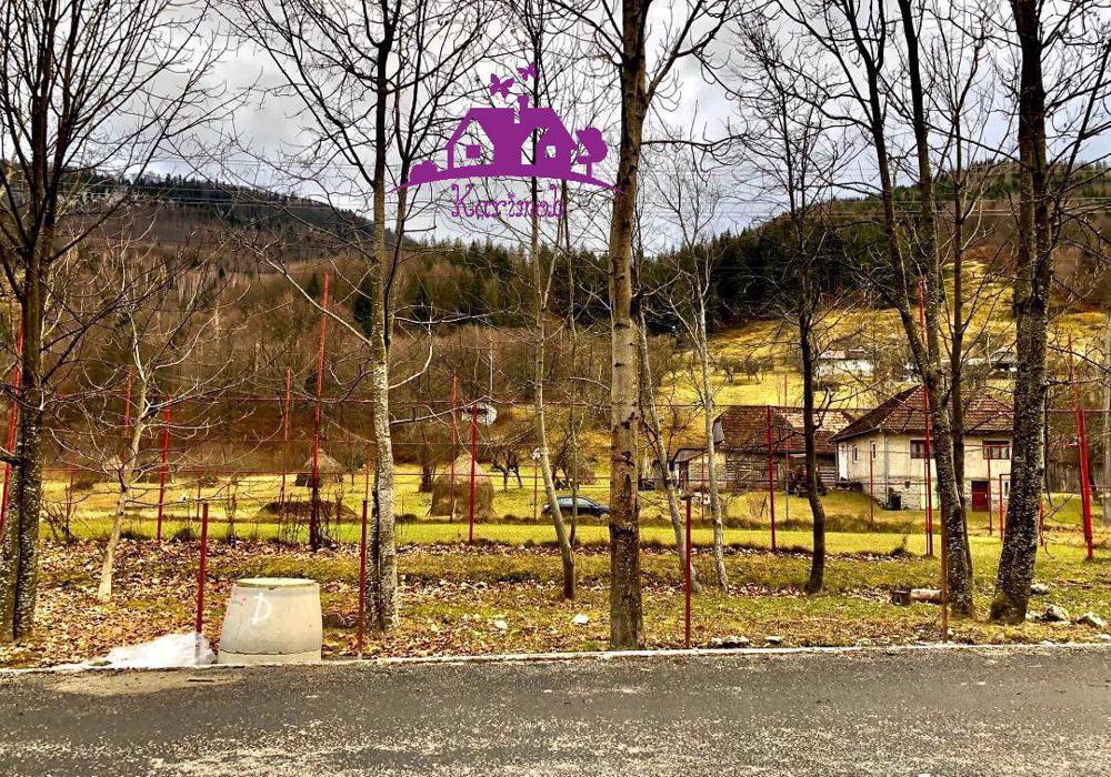 Teren intravilan la munte zona Valea Draganului