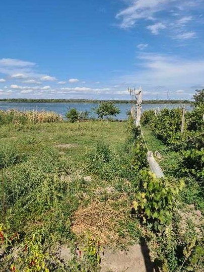 Teren intravilan langa lacul Murighiol