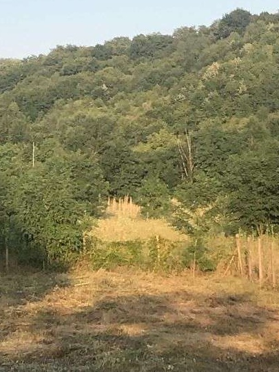 Teren intravilan Magura