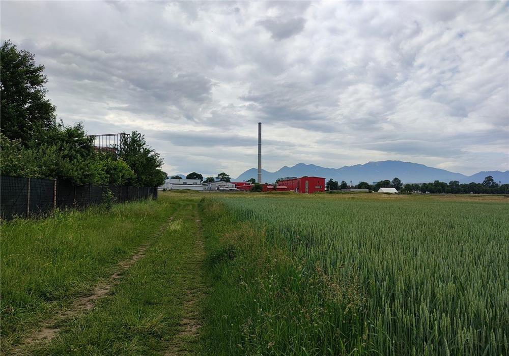 Teren intravilan PUZ, 4.530 mp, Brasov - Narciselor.