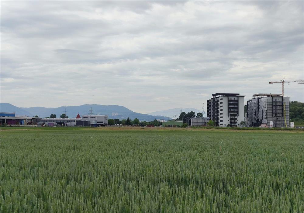 Teren intravilan PUZ, 4.530 mp, Brasov - Narciselor.