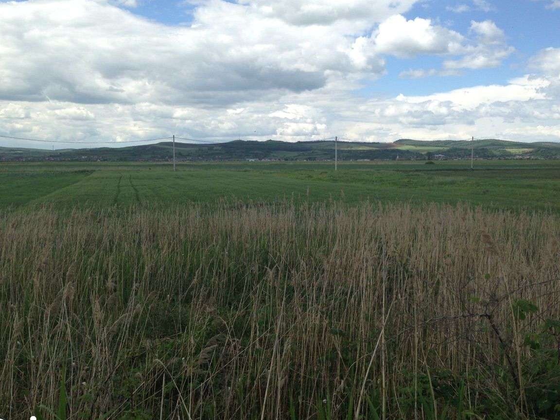 Teren intravilan Sangeorgiu de Mures, 5000 mp, 35 euro/mp