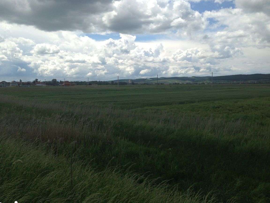 Teren intravilan Sangeorgiu de Mures, 5000 mp, 35 euro/mp