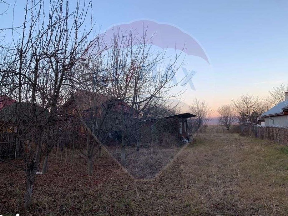 Teren intravilan si extravilan in Buhusi/Blagesti