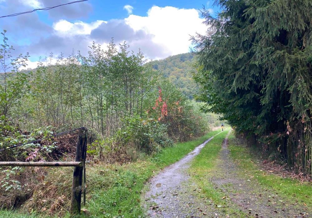 Teren intravilan Sovata 1500 mp, str Stana de Vale