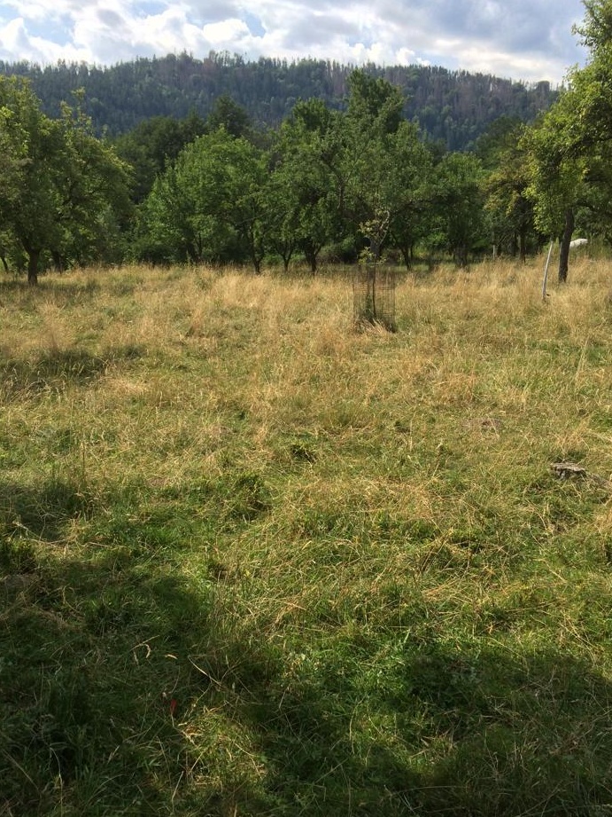 TEREN INTRAVILAN zona munte 4500 MP