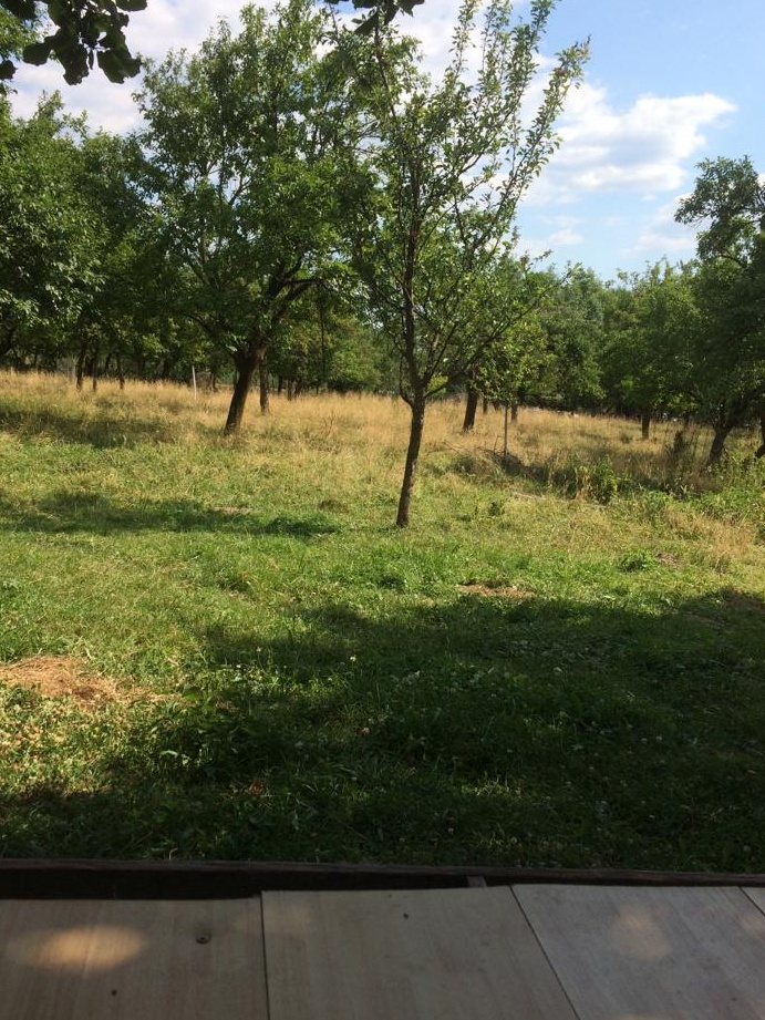 TEREN INTRAVILAN zona munte 4500 MP