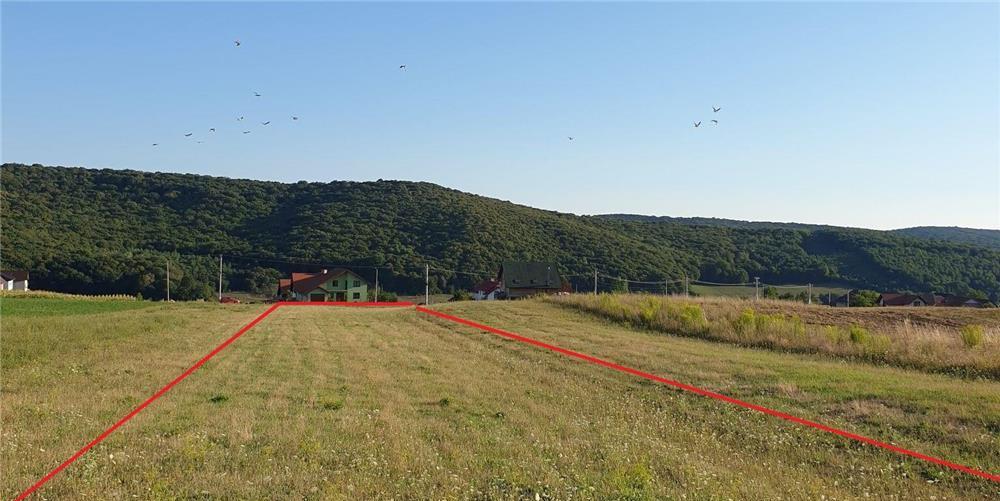 Teren intravilan zona Rezidentiala de 3500 mp
