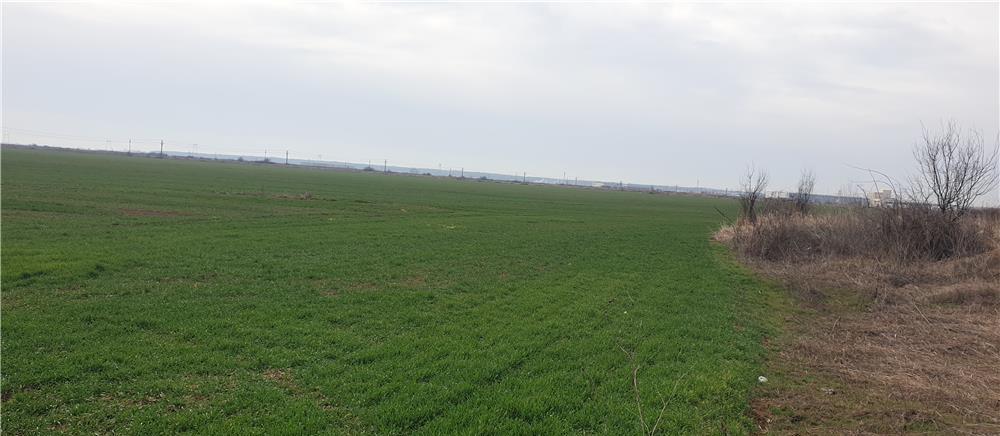 Teren Km 22 A1- Bucuresti-Pitesti-Parc Industrial-Propietar